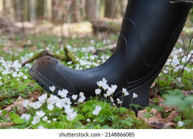 Through The Blooming Forest With Rubber Boots. Whether You Are A Hunter Or A Nature Lover With Rubber Boots, You Can Walk Through The Woods And Fields With Dry Feet And Be Protected Against Ticks.