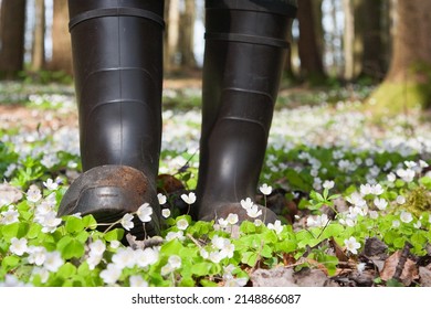 Through The Blooming Forest With Rubber Boots. Whether You Are A Hunter Or A Nature Lover With Rubber Boots, You Can Walk Through The Woods And Fields With Dry Feet And Be Protected Against Ticks.