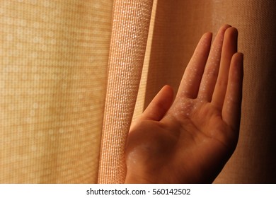 Through the curtains