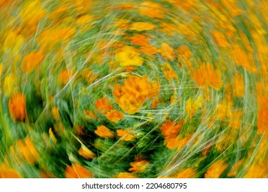 Through deliberate camera movement, we realize abstract dreams of scenery and objects icm photo
