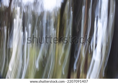 Similar – Image, Stock Photo deliberate camera movement