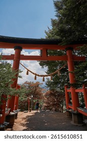 Through the Gates: A Path Lined with Vibrant Red Torii at Arakura Fuji Sengen Shrine - Japan