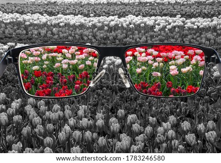 Through glasses frame. Colorful view of colorful tulips in glasses and monochrome background. Different world perception. Optimism, hopefulness, mental health concept.
