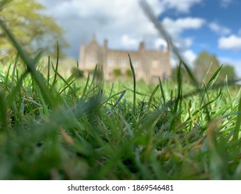 Through the grass blurred background