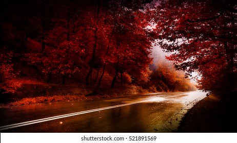 Through The Red Forest