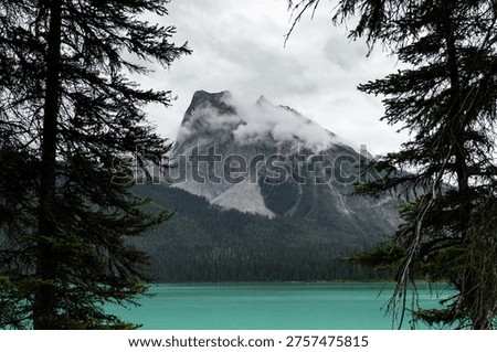 Through the tree a View Of Emerald Lake in Canada