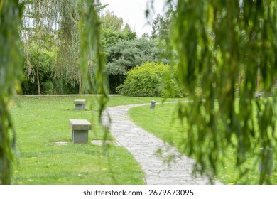 Through willow branches, a winding path leads to benches in a quiet park. The greenery creates a frame around the serene garden view.
