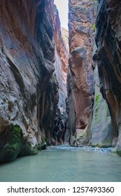 Through Zion Narrows