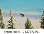 Throughout the Grinnell Glacier hike, you