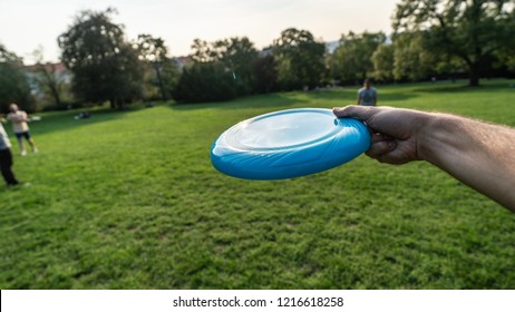 Throwing a disk at park