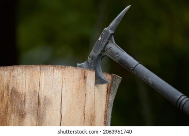 Throwing Tactical War Tomahawk In A Wood Stump