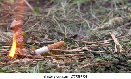 The Thrown Cigarette Set Fire To The Grass. A Man Threw A Cigarette On The Dry Grass. Fire Hazard