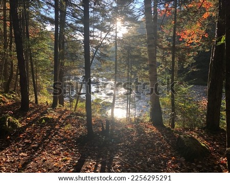 Thru-Hike of the Northville-Lake Placid Trail (Adirondacks, NY)
