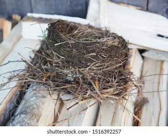 Thrush Nest. On Wood For The Stove