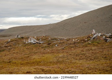 Thule People Archaeological Site At Caswell Tower In Radstock Bay, Devon Island, Nunavut, Canada.