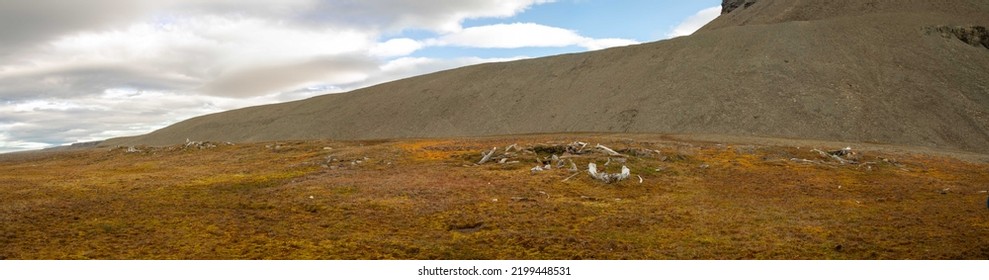 Thule People Archaeological Site At Caswell Tower In Radstock Bay, Devon Island, Nunavut, Canada.