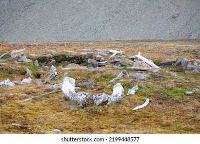 Thule People Archaeological Site At Caswell Tower In Radstock Bay, Devon Island, Nunavut, Canada.