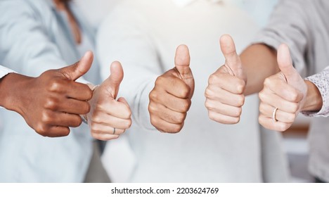 Thumbs Up, Diversity And A Yes Sign By Business People In A Startup Company Or Successful Marketing Agency. Hands, Collaboration And Team Of Workers That Approve Of A Global Partnership And Support