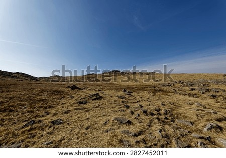 Thunacar knott on a spring day, the langdales