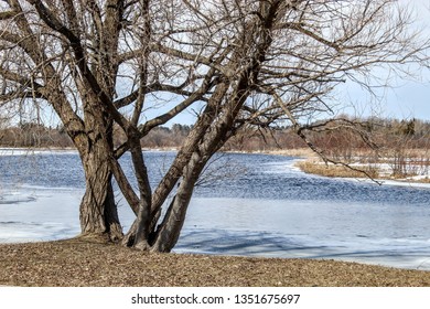 Thunder Bay River