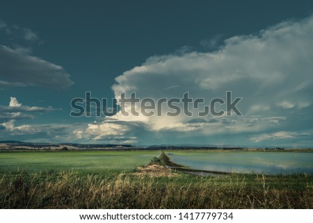 Thunder clouds over rice fields in Northern California.