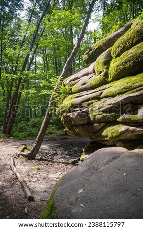Thunder Rocks Area of Allegany State Park in New York State