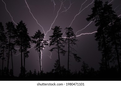 Thunderbolt, lightning bolt in the night sky - Powered by Shutterstock