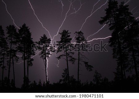 Thunderbolt, lightning bolt in the night sky