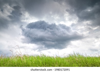 Thundercloud. Dark storm cloud over young green grass. Natural phenomena. Seasonal weather changes.