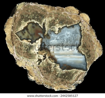 A thunderegg agate geode specimen from the location known as Fallen Tree, Oregon. A beautiful agate with pastel colours surrounded by a rhyolite matrix. 