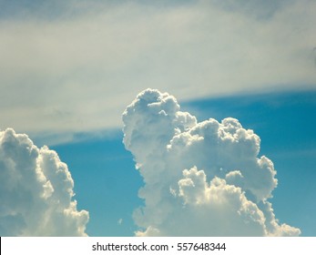 にゅうどうぐも Hd Stock Images Shutterstock