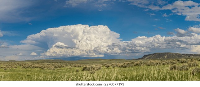 A thunderhead grows over the Wyoming prairie. - Powered by Shutterstock