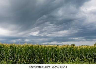 1,313 Corn field thunderstorm Images, Stock Photos & Vectors | Shutterstock