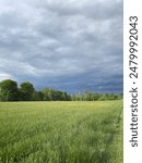 a thunderstorm gathers above a field in the summer 