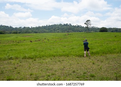 Thung Kamang green grass meadow ,  Phu Khiao Wildlife Conservation Area , Chaiyaphoom , Thailand