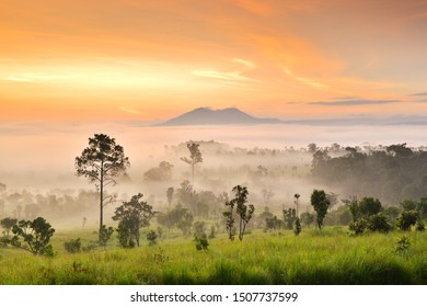 Thung Salaeng Luang is grassland savannah in Thailand. Misty morning sunrise at Thung Salaeng Luang National Park, Phetchabon, Thailand. Beautiful landscape of foggy sunrise in grassland savannah. - Powered by Shutterstock