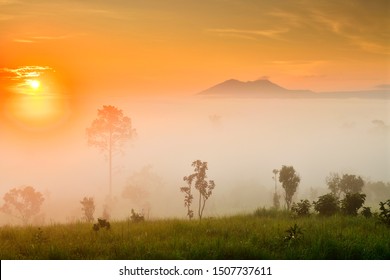 Thung Salaeng Luang is grassland savannah in Thailand. Misty morning sunrise at Thung Salaeng Luang National Park, Phetchabon, Thailand. Beautiful landscape of foggy sunrise in grassland savannah. - Powered by Shutterstock