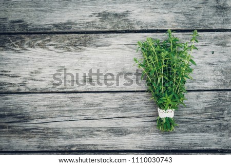 Thyme bunch. Bundle of fresh thymes on a wooden background. Retro magazine picture. Copy space.