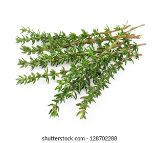 Thyme Fresh Herb Isolated On White Background