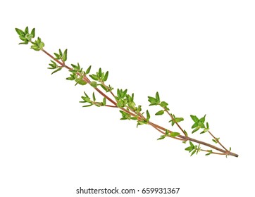 Thyme fresh herb isolated on a white background - Shutterstock ID 659931367