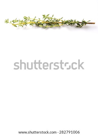 Similar – Flower frame on white background