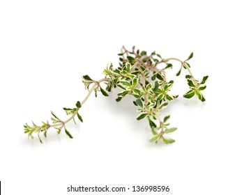 thyme isolated on white