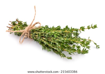 Thyme isolated on white background.