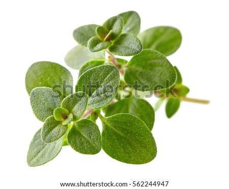 Thyme leaves