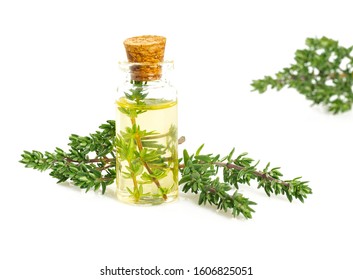 Thyme Oil Isolated On White