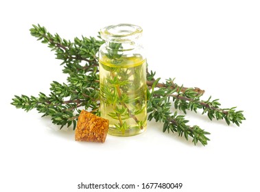 Thyme Oil Isolated On White