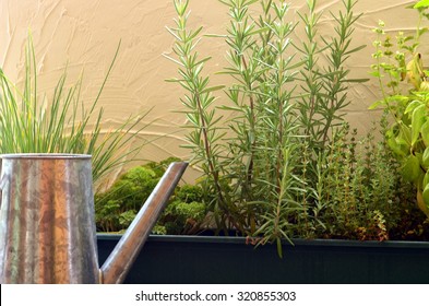 Thyme, Rosemary, Basil, Parsley And Chives In Green Window Box