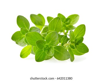 Thyme Spice Closeup Stock Photo 642011380 | Shutterstock