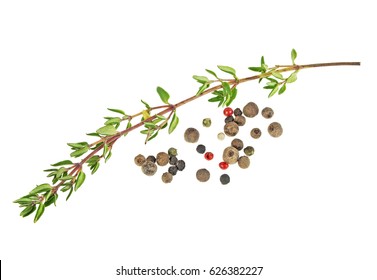 Thyme Sprig And Peppercorn On A White Background