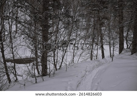 Tibble Fork Loop hiking winter storm snow views of trail Lone Peak Wilderness Uinta Wasatch Cache National Forest, Rocky Mountains, Utah. United States.